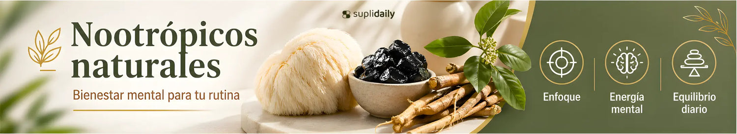 Nootrópicos naturales para enfoque, energía mental y bienestar diario con ingredientes naturales SupliDaily