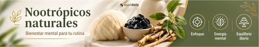 Nootrópicos naturales para enfoque, energía mental y bienestar diario con ingredientes naturales SupliDaily