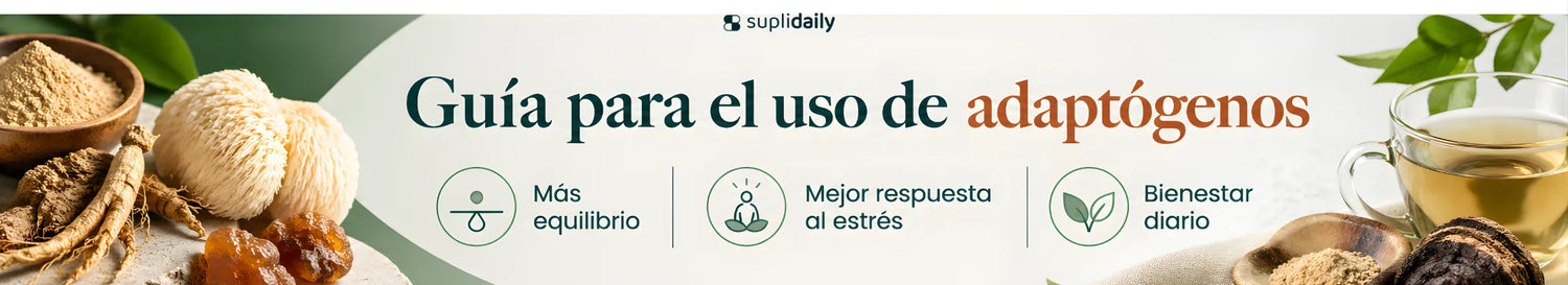Guía de adaptógenos naturales para el estrés equilibrio y bienestar diario con ingredientes como ginseng y melena de león
