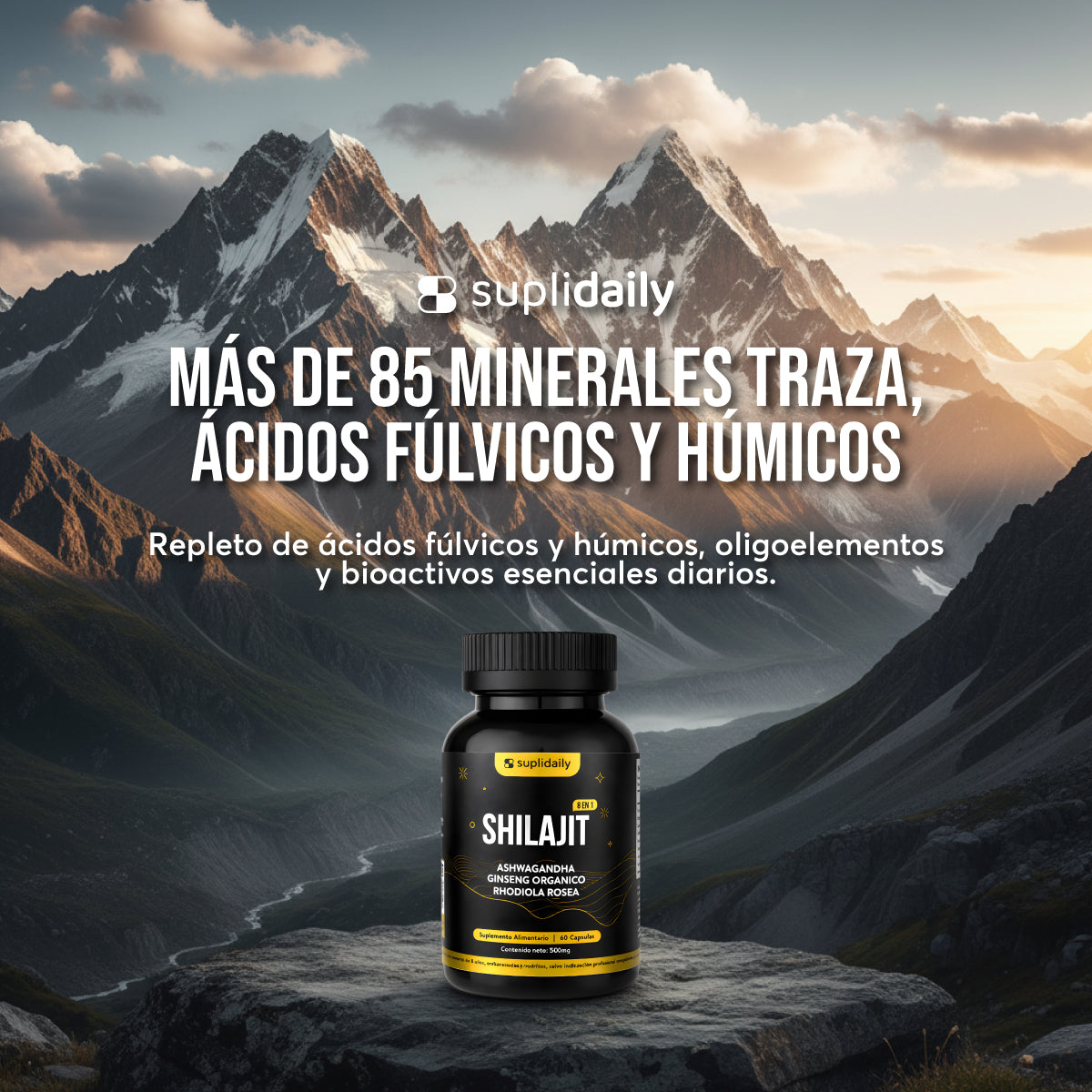 Shilajit 8 en 1 Himalaya + Ashwagandha