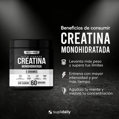 Beneficios de la creatina monohidratada Suplidaily: fuerza, resistencia y concentración